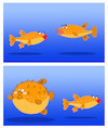 Cartoon: Fit Puffer Fish... (small) by berk-olgun tagged fit,puffer,fish