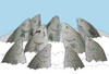 Cartoon: Frigid.. (small) by berk-olgun tagged frigid