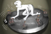 Cartoon: Funfair for Vultures... (small) by berk-olgun tagged funfair,for,vultures