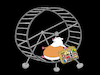 Cartoon: Hamster... (small) by berk-olgun tagged hamster