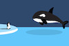 Cartoon: Killer Whale... (small) by berk-olgun tagged killer,whale