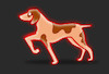 Cartoon: Led Lights... (small) by berk-olgun tagged hound,dog