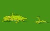 Cartoon: Lizard... (small) by berk-olgun tagged lizard