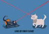 Cartoon: Love at First Sight... (small) by berk-olgun tagged love,at,first,sight