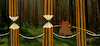 Cartoon: Master of Balance... (small) by berk-olgun tagged master,of,balance