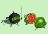 Cartoon: Ninja Watermelon... (small) by berk-olgun tagged ninja,watermelon