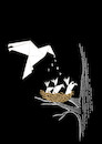 Cartoon: Paper Bird... (small) by berk-olgun tagged paper,bird