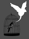 Cartoon: Parrot... (small) by berk-olgun tagged parrot