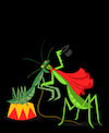 Cartoon: Praying Mantis... (small) by berk-olgun tagged praying,mantis