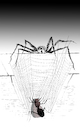 Cartoon: Puppet Fly... (small) by berk-olgun tagged puppet,fly