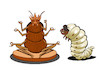 Cartoon: Sculptor Woodworm... (small) by berk-olgun tagged sculptor,woodworm