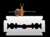 Cartoon: Snail... (small) by berk-olgun tagged snail