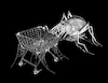 Cartoon: Spider Market... (small) by berk-olgun tagged spider,market