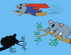 Cartoon: Superkoala... (small) by berk-olgun tagged superkoala