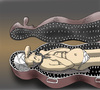 Cartoon: The Indian Vampire... (small) by berk-olgun tagged the,indian,vampire