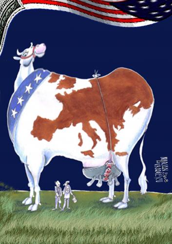 Cartoon: The COW (medium) by Marian Avramescu tagged cow