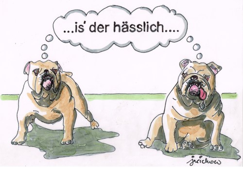 Hässliche Hunde