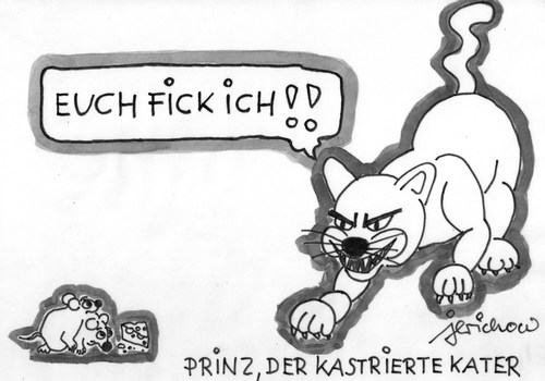 Prinz - der kastrierte Kater