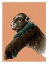 Cartoon: without title (small) by jenapaul tagged apes,monkeys,men,humans,women