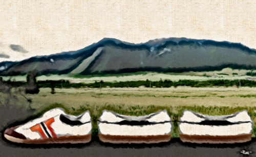 Cartoon: hiking (medium) by zu tagged hiking,train,gym,shoes
