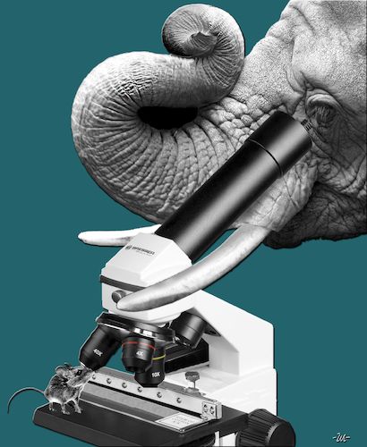 Cartoon: Microscope (medium) by zu tagged microscope,elephant,mouse