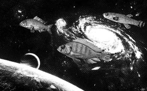 Cartoon: Spacefish (medium) by zu tagged spacecraft,fish,space