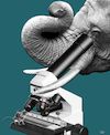 Cartoon: Microscope (small) by zu tagged microscope,elephant,mouse