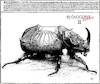 Cartoon: Rhinoceros Beetle (small) by zu tagged rhinoceros,beetle,dürer