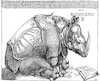 Cartoon: Rhynocerus (small) by zu tagged rhyno,durer,book