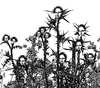 Cartoon: Thistle (small) by zu tagged thistle,mona,lisa,leonardo,gioconda