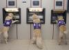 Cartoon: Dog at cashpoint (small) by babydogz99 tagged dogs