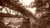 Cartoon: Bridge (small) by spotty tagged bridge