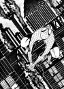 Cartoon: SPIDEY (small) by Jorge Fornes tagged spidey