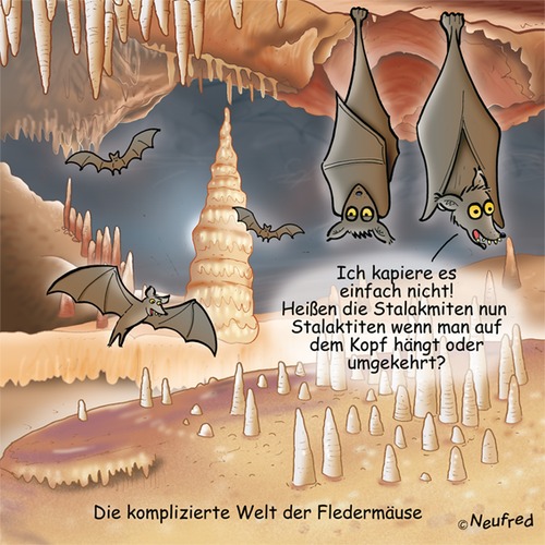 Cartoon: Die komplizierte Welt der Fleder (medium) by neufred tagged kompliziert,stalakmiten,stalektiten,tropfsteinhöhle,fledermaus