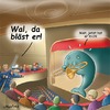 Cartoon: Blaskonzert (small) by neufred tagged wal oper theater trompete walfang kapitän harpune