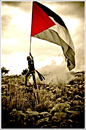 Cartoon: victory (small) by nayar tagged victory