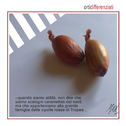 Cartoon: orti differenziati (medium) by Enzo Maneglia Man tagged vignette,umorismo,grafico,illustrazioni,satira,politica,fighillearte,piccolomuseo,fighille,ita