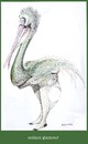 Cartoon: collant clamour (small) by Enzo Maneglia Man tagged collant,clamour