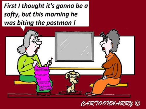 Cartoon: A Hero (medium) by cartoonharry tagged hero,softy,postman,granny,doggy,dog,cartoon,bite,cartoonist,cartoonharry,dutch,toonpool