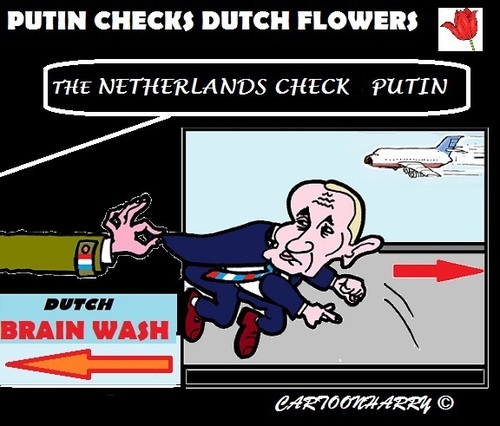 Cartoon: Brainwash Putin Now!! (medium) by cartoonharry tagged holland,russia,flowers,checks,bacterium,stop,putin
