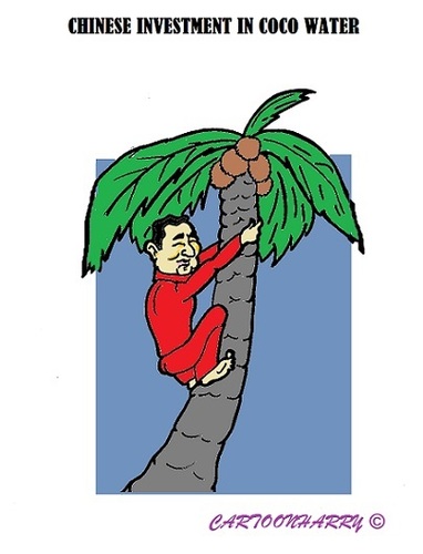 Cartoon: Coco Water (medium) by cartoonharry tagged china,economy,coconuts,cocowater,investment