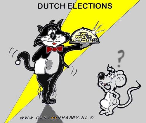 Cartoon: Dutch Elections (medium) by cartoonharry tagged dutch,elections,cat,mouse,cheese,cartoonharry