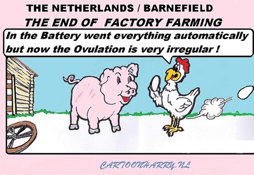 Cartoon: End of Factory Farming (medium) by cartoonharry tagged fumble,fumblechicken,holland,ovulation,chicken,factory,farming,pig,cartoon,cartoonist,cartoonharry,dutch,toonpool