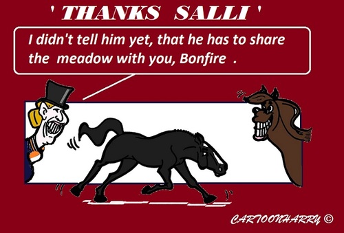 Cartoon: Goodbye Salinero (medium) by cartoonharry tagged goodbye,salinero,bonfire,ankyvangrunsven,horses,olympics,champion,cartoon,cartoonist,cartoonharry,dutch,toonpool