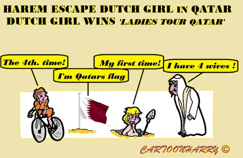 Cartoon: Harem Escape (medium) by cartoonharry tagged qatar,sheik,harem,rape,dutch,girl,biker,tour,escape