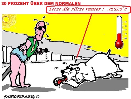 Cartoon: Hitze (medium) by cartoonharry tagged pole,hitze,eisbehr
