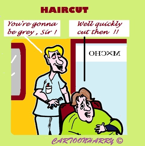 Cartoon: Hurry Up (medium) by cartoonharry tagged quick,grey,haircut,hairdresser