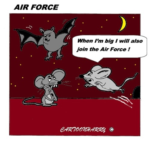 Cartoon: Join the Air Force (medium) by cartoonharry tagged toonpool,dutch,cartoonharry,cartoonist,animals,cartoon,bat,mice,mouse,air,airforce