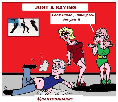 Cartoon: Just a Saying (medium) by cartoonharry tagged saying,cartonharry