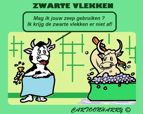 Cartoon: Koeien (medium) by cartoonharry tagged dieren,koeien,vlekken,schoonmaken